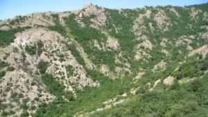 Откриха две момчета изгубени в планината