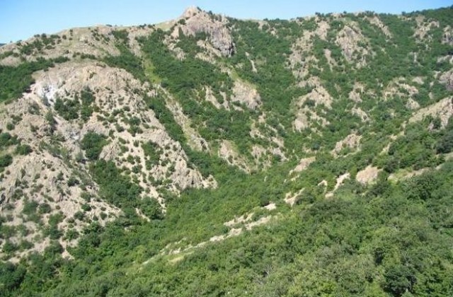 Откриха две момчета, изгубени в планината