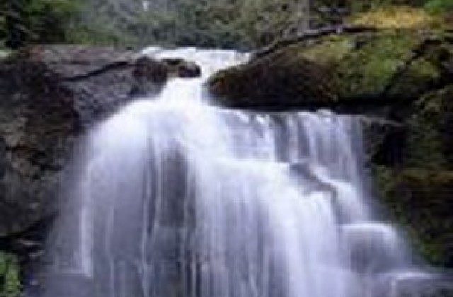 Празник на гората и туризма в с. Стакевци