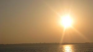 Учени ще пречистват морските води с изкуствени подводни рифове