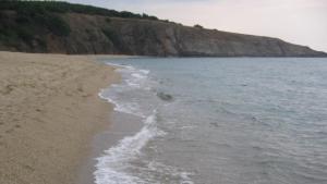 Учени ще пречистват морските води с изкуствени подводни рифове