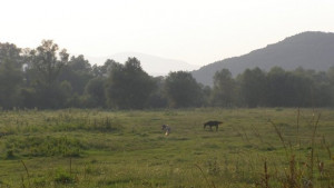 Слънчево и топло