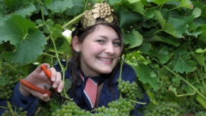 Затоплянето на климата може да промени световната карта на вината