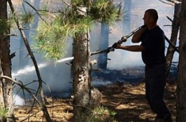 Започва информационна кампания „Пази гората от пожар”