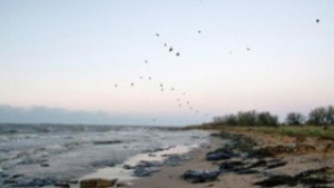 Над 150 000 лв глоби за нарушения по плажовете