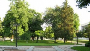 Бойно оръжие открито у психично болен мъж