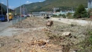 Поголовното изсичане на сливенските тополи