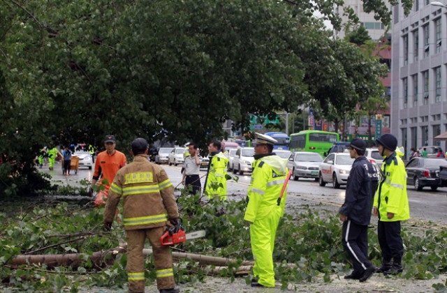 Трима загинаха от тайфун в Южна Корея