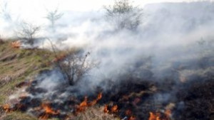 18 пожара за 5 дни в Хасковско