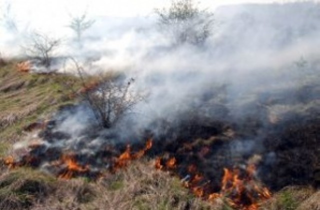18 пожара за 5 дни в Хасковско