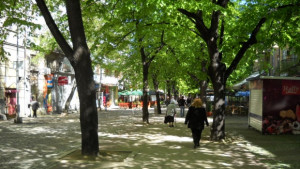 На 16 септември започва разкопаването на централната алея в Кюстендил