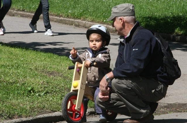 Започват обработките на зелените площи срещу кърлежи и комари