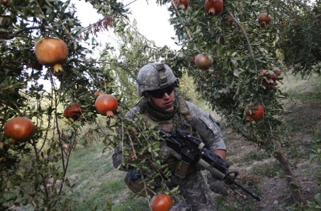 НАТО иска да прогони талибаните от Кандахар до края на ноември