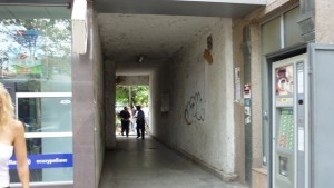 Заляха с киселина плевенчанка