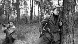 Шведска маса атакува мандра и опожари архива на бозаджийница в