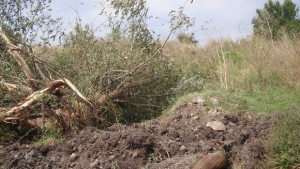 Село 7 години е на сухо заради лисича опашка