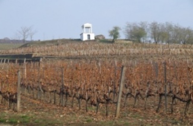 Ръст от 15% на нелегално вино в региона прогнозират от браншовата камара