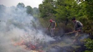 Кръгла маса за превенция на горските пожари