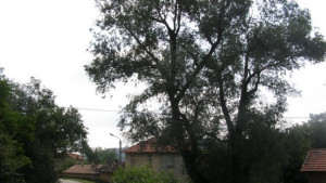 Слънчево с превалявания
