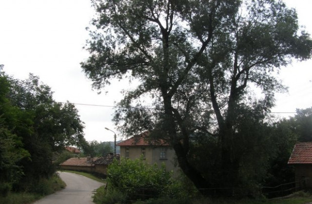 Слънчево, с превалявания