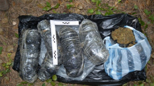 4 кг марихуана открити при акция във Варна