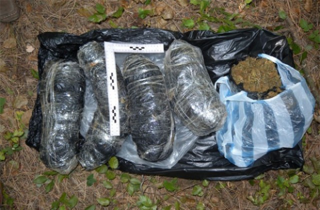 4 кг марихуана открити при акция във Варна