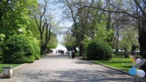 Четири зелени дни