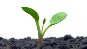 Екотероризъм пазар за милиарди за организираната престъпност