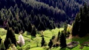 Пътуваща фотографска изложба за биоразнообразието гостува в Сливен
