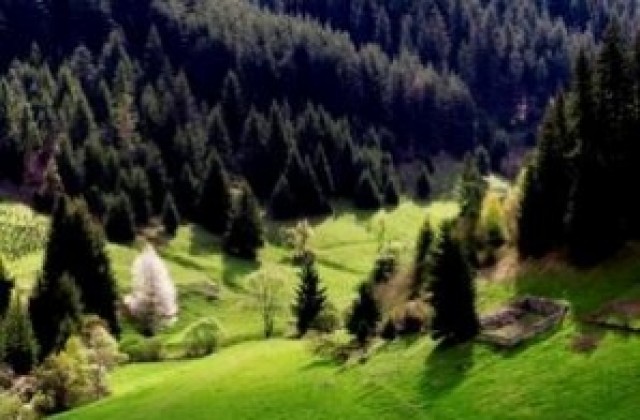 Пътуваща фотографска изложба за биоразнообразието гостува в Сливен