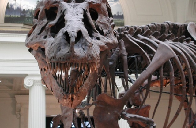 Учени откриха динозавър с корона от рога