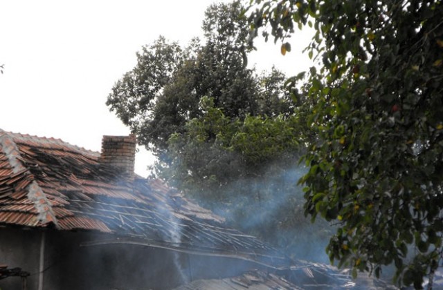 Животни изгоряха в пожар в Осенец, баба с внуче се спасиха