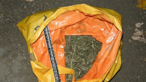 Задържаха 17 годишен с 242 грама марихуана