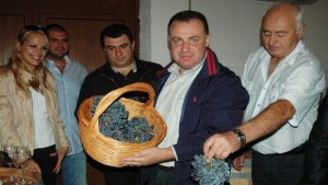 Реколтата от грозде е слаба но ще напълни избите смята