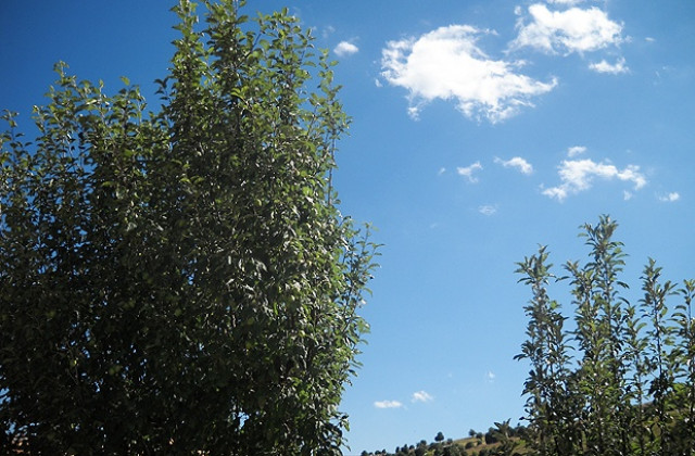 Облачността намалява