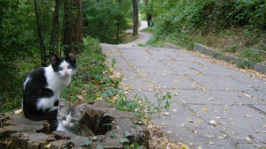 Все още слънчево