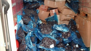 Фирма от акция Дупетата крила 15 тона месо