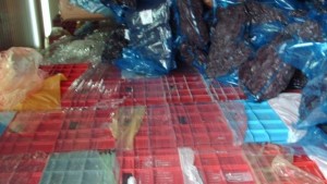 Тайната камера в Анона била склад за отпадъци