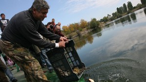 Зарибиха езерото в Дружба с половин тон риба