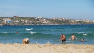 Повече сърби по морето през 2011