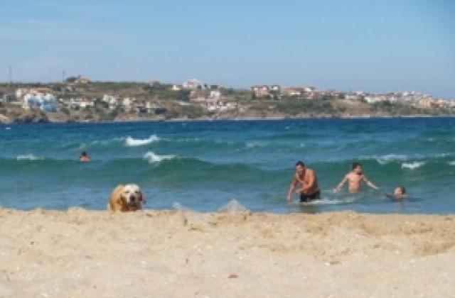 Повече сърби по морето през 2011?