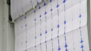 Няма пострадали и нанесени щети от земетресението