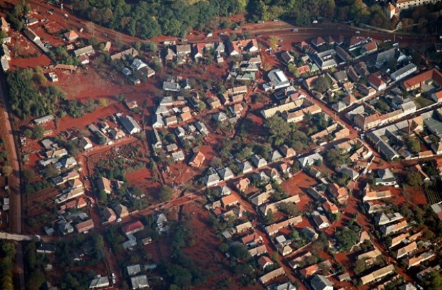 Мъртвите риби в Дунав може да са попаднали там от други реки