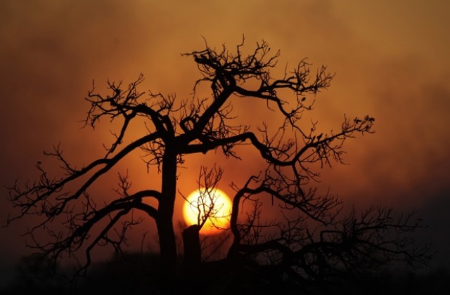 Пророчествата на NASA - Развръзката