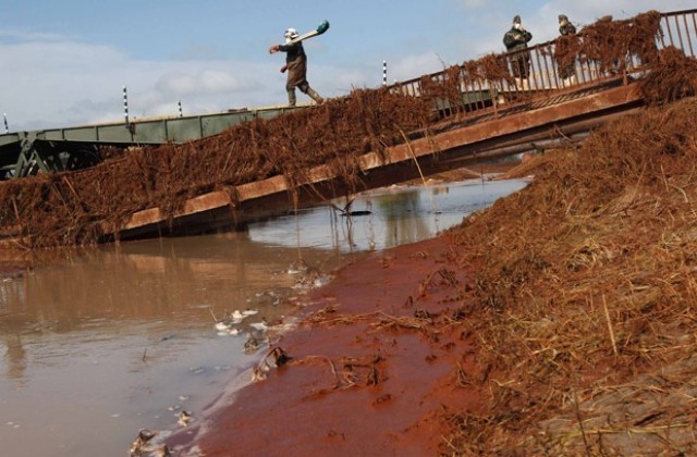 Дунав не е замърсен в българския си участък