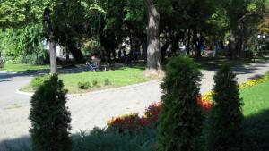 Гласувайте за Стара Загора Трети сме във временната класация Кой