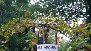 С празнична програма премина гроздоберът на Орфеевата лоза