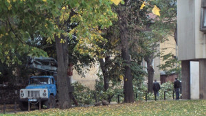 Режат клоните на дърветата в центъра на Враца