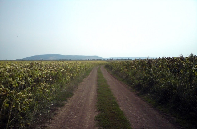 Дискутират проблемите на родното земеделие