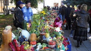 Земята не иска костюми и лачени обувки а рало и